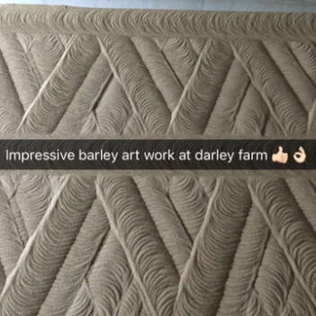 stirrer goes zick-zack