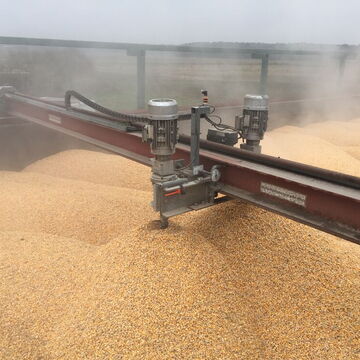 2 auger stirrer in corn