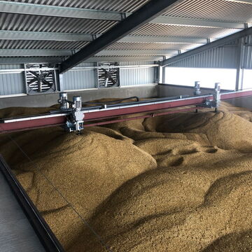 drying barley