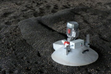 Grain butler in sun flower seed